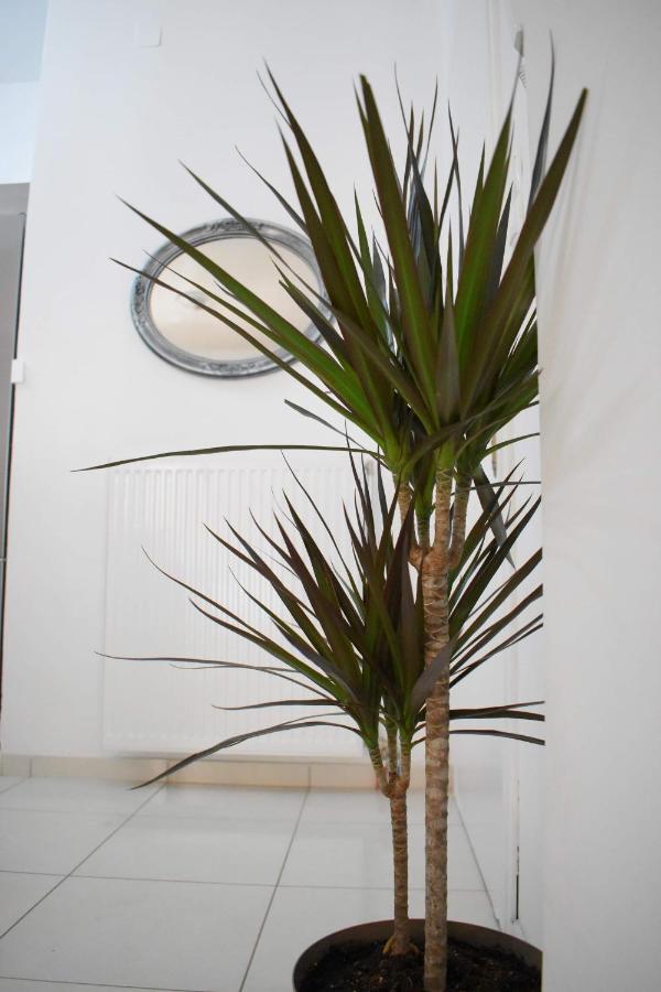 4Seasons Apartment Thebes 外观 照片